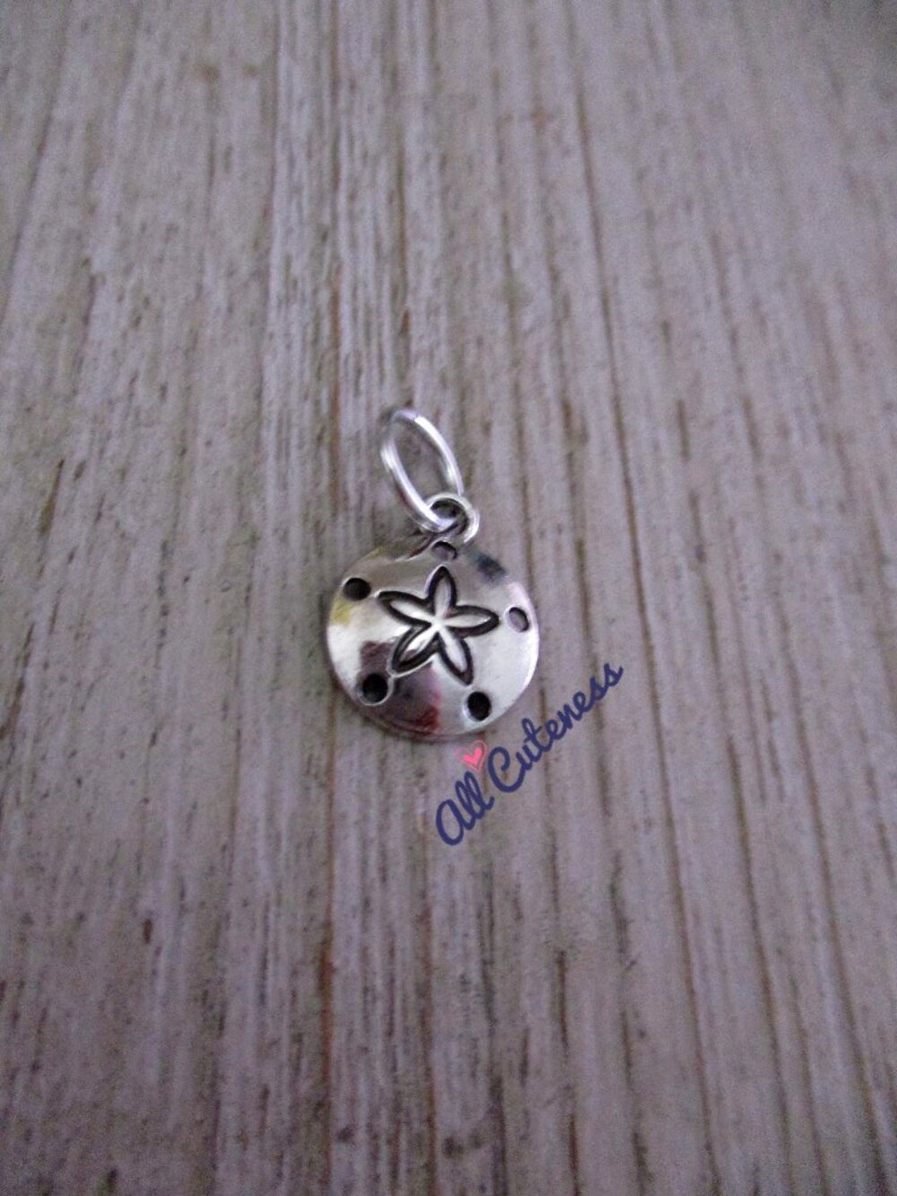 🎀 Sand Dollar Charm